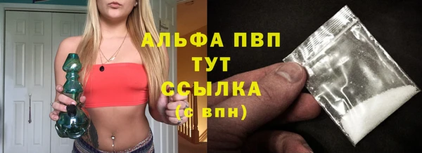 сатива Аркадак