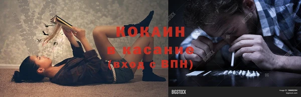 сатива Аркадак