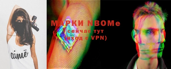 сатива Аркадак