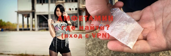 сатива Аркадак
