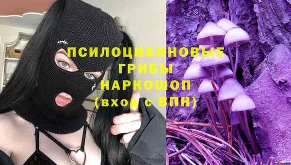 твердый Арсеньев