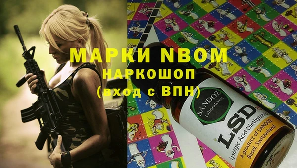 сатива Аркадак