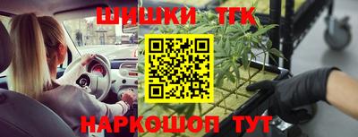 индика Апшеронск