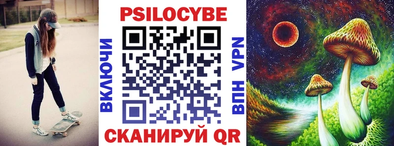 купить наркоту  Асино  Псилоцибиновые грибы Cubensis 