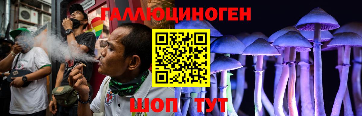 Асино  Галлюциногенные грибы Cubensis  Вход с VPN 